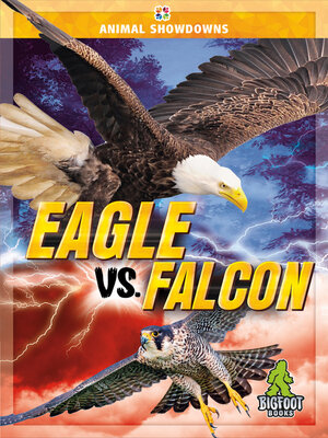 cover image of Eagle vs. Falcon
